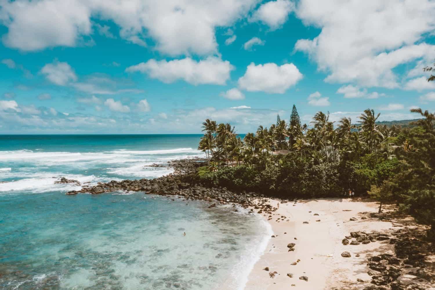 pexels jess loiterton 4319025 scaled