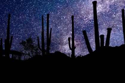 joshua tree stargazing